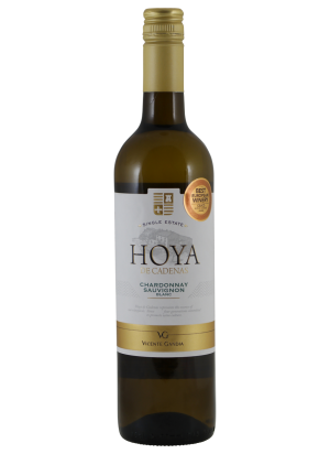 Hoya de Cadenas blanco